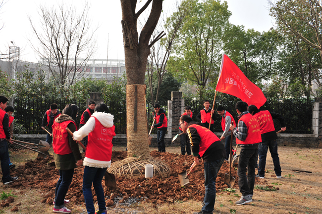 河海大学开展“打造美丽河海，共建绿色校园”义务植树活动